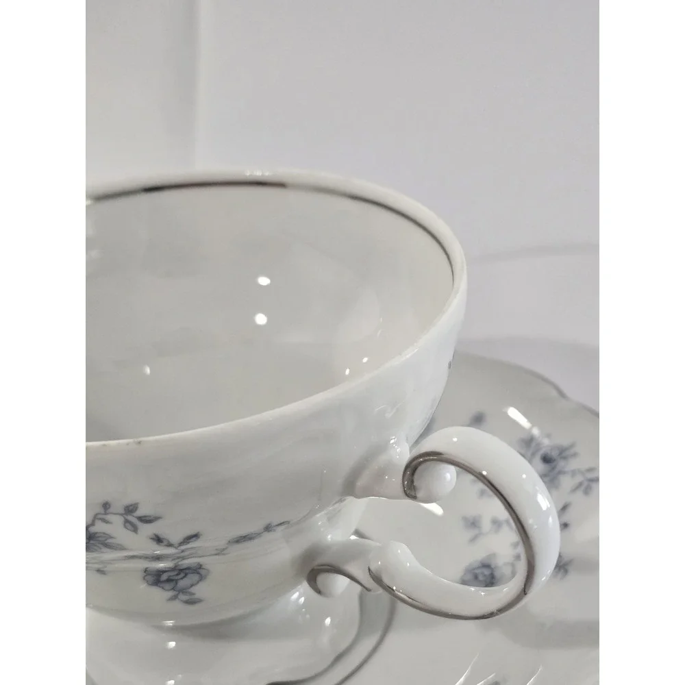 Johann Haviland Blue Garland Tea Cup & Saucer Bavaria Germany Vintage